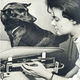 Image for article titled That Time Soviet Russia Sent Dogs Into Space